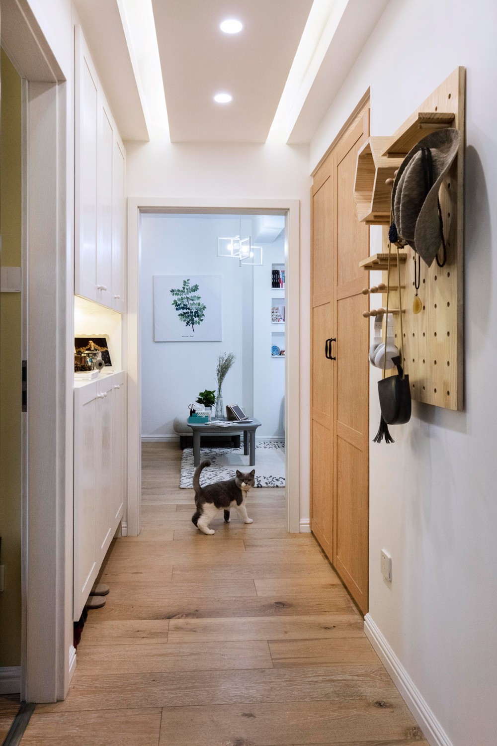 佛山裝修公司北歐風格公寓裝修效果圖-玄關 佛山裝修公司北歐風格公寓裝修效果圖-玄關